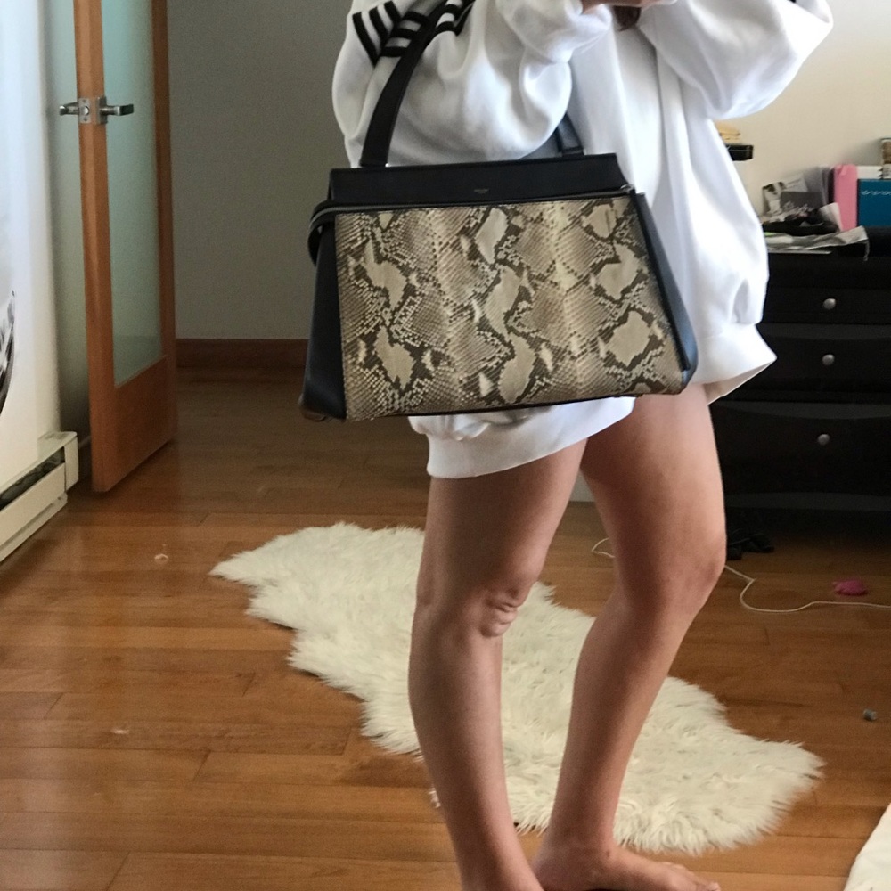 Celine Medium Python Edge Bag - image 6